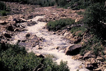 Lamoille Creek - Lamoille Canyon Scenic Drive showing scouring from 1995 flood