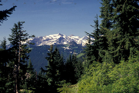 View west from Pacific Crest Trail, Cady Ridge area, William M. Jackson Wilderness, Washington
