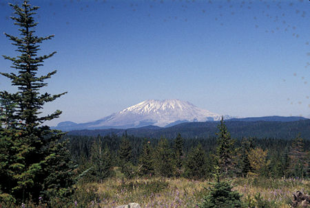 Mount St. Helens from USFS Road 24, Washington