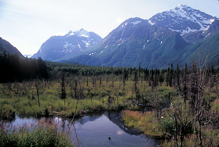 Polar Bear Peak and Eagle Peak view near Eagle River Nature Center, Chugach State Park, Alaska