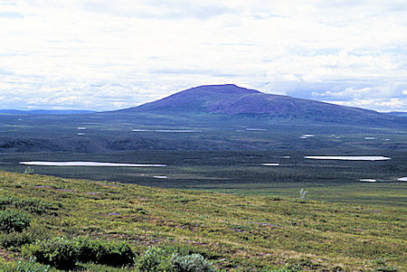 View south from Denali Highway