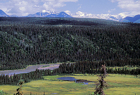 Nenana River and Alaska Range from Denali Highway