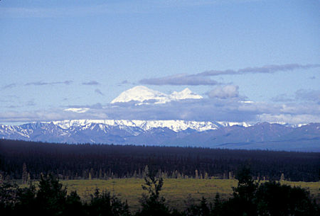 Denali (Mt. McKinley) 20,306' from Denali Highway