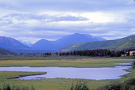 Near Klukshu Creek, Haines Highway, Yukon Territory