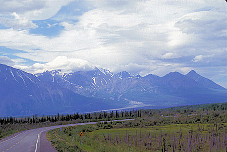 Near Haines Juntion, Yukon Territory