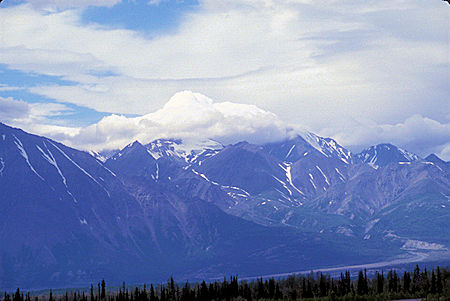 Near Haines Juntion, Yukon Territory