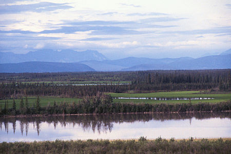 View along the Tanana River, Alaska Highway, Alaska