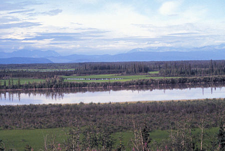 View along the Tanana River, Alaska Highway, Alaska