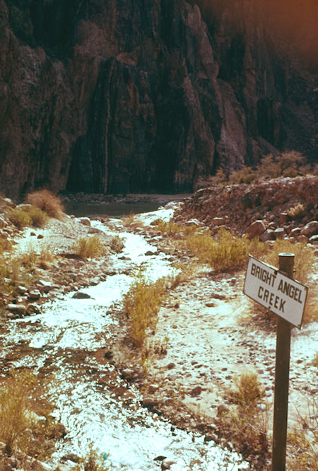 Bright Angel Creek - Grand Canyon National Park - Dec 1961