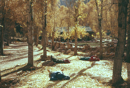 Our group relaxing at Phantom Ranch - Grand Canyon National Park - Dec 1961