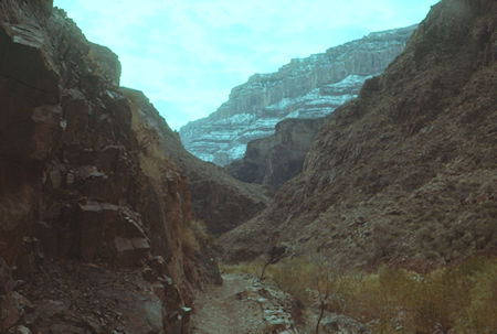 Looking up Garden Creek - Grand Canyon National Park - Jan 1962
