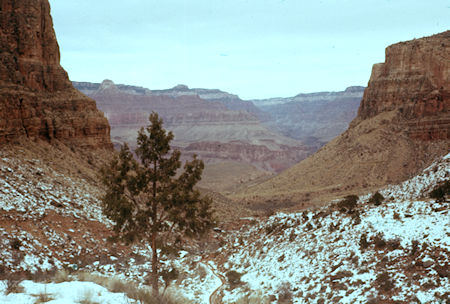 Looking back over Indian Garden on Bright Angel Trail - Grand Canyon National Park - Jan 1962