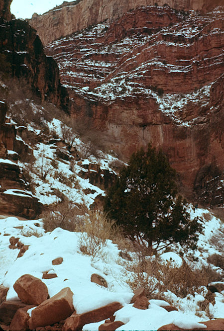 Cliffs of the main Grand Canyon from just above 4,000' on Bright Angel Trail - Grand Canyon National Park - Jan 1962