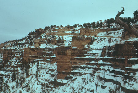 Near the end of the Bright Angel Trail near the Kolb Studio - Grand Canyon National Park - Jan 1962