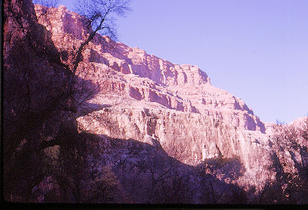 Havasu Canyon below camp - Grand Canyon National Park - Dec 1962