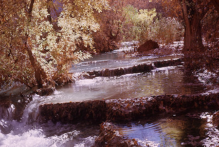 Havasu Creek - Grand Canyon National Park - Dec 1962
