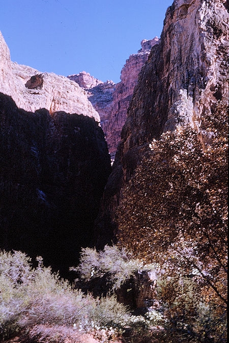 Havasu Canyon - Grand Canyon National Park - Dec 1962