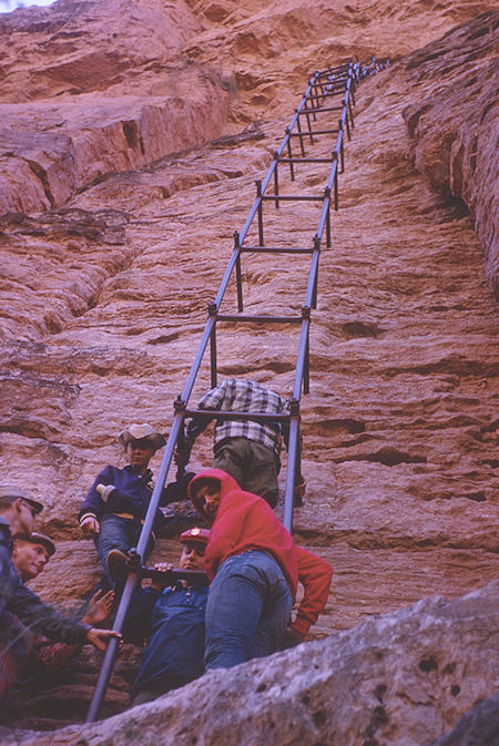 Old ladder supports from below Mooney Falls to mines - Grand Canyon National Park - Dec 1962 (part of Havasupai Indian Reservation as of 1975)