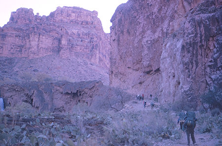 On the trail out of Havasu Canyon - Grand Canyon National Park - Dec 1962 (part of Havasupai Indian Reservation as of 1975