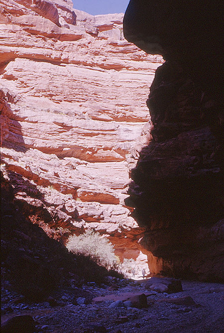Hualpai Canyon on the way out - Havasupai Indian Reservation - Dec 1962
