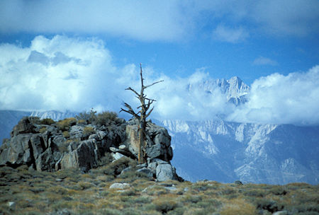 Mt. Whitney from Inyo Mountains on a ridge near New York Butte