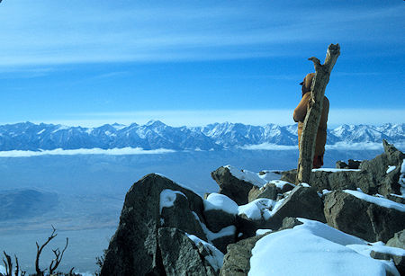 Sierra Nevada from Mount Inyo