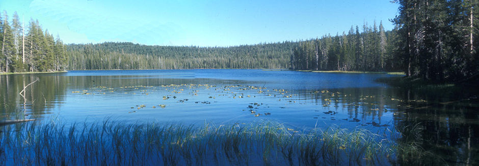 Horseshoe Lake