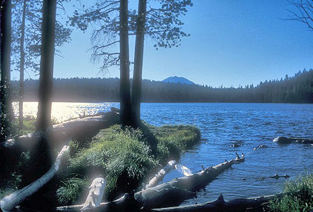 Horseshoe Lake