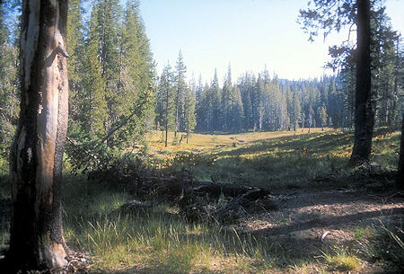 Meadow between Horseshoe Lake and Snag Lake