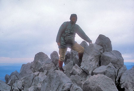Mountain Mouse on top of Lassen Peak