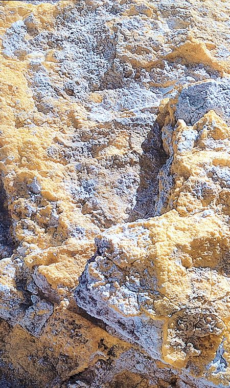 Sulfur Link