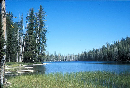 Unnamed lake in the Cluster Lakes