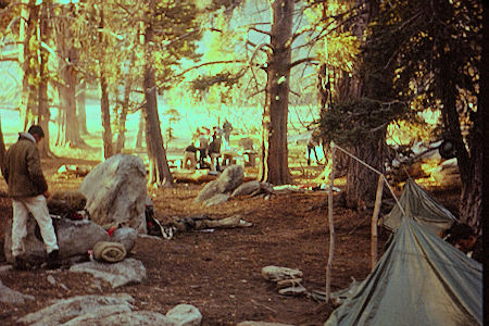 Up and At Em at Round Valley camp - 10-26-58