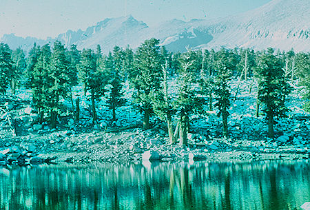 'Red' Kaweah Peak and small lake at top of climb before dropping into Moraine Lake - Sequoia National Park 20 Jul 1957