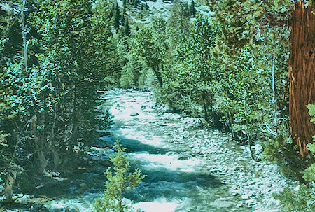 Raging current in Kern River - Sequoia National Park 22 Jul 1957
