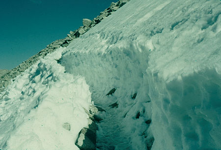 Snow on trail down east side of Mount Whitney from Trail Crest - 24 Jul 1957