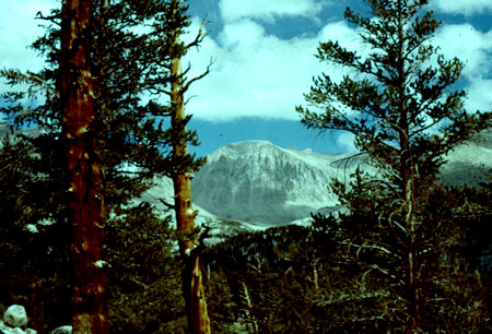 Mount Whitney from Crabtree Meadow trail - 01 Sep 1960