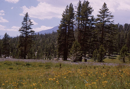 Sandy Meadow on the John Muir/Pacific Crest Trail near Whitney trail junction - 19 Aug 1965
