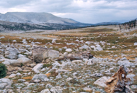 Lower Wright Lake Basin - Sequoia National Park 24 Aug 1971