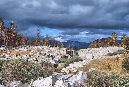 Wallace Creek - Sequoia National Park 24 Aug 1971