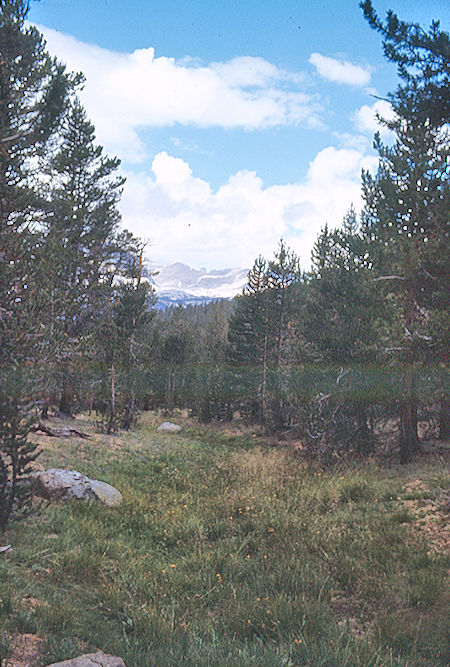 Meadow near Sandy Meadow - Sequoia National Park 25 Aug 1971