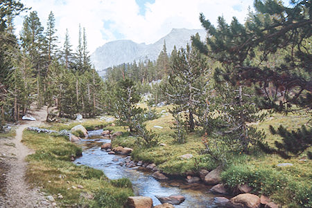 Mt. Whitney and Whitney Creek - Sequoia National Park 25 Aug 1971