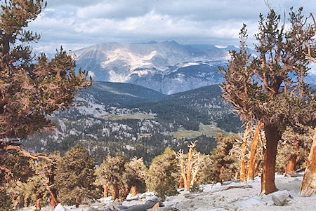 Crabtree Meadow from the side of Mt. Hitchcock - Sequoia National Park 26 Aug 1971