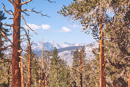 Kaweah Range from trail - Sequoia National Park 27 Aug 1971