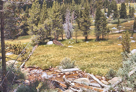 Meadow on  Rock Creek - Sequoia National Park 27 Aug 1971
