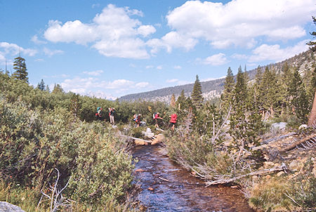 Cross-country down Rock Creek  - Sequoia National Park 29 Aug 1971