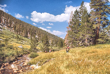Rock Creek - Sequoia National Park 29 Aug 1971