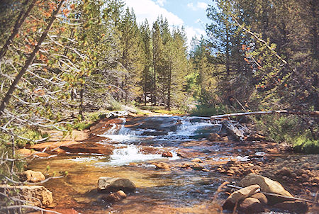 Rock Creek - Sequoia National Park 29 Aug 1971