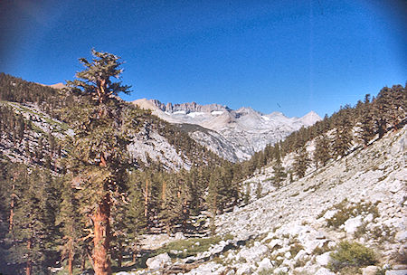 View down Wallace Creek to Kaweah Ridge - Sequioa National Park 31 Aug 1971