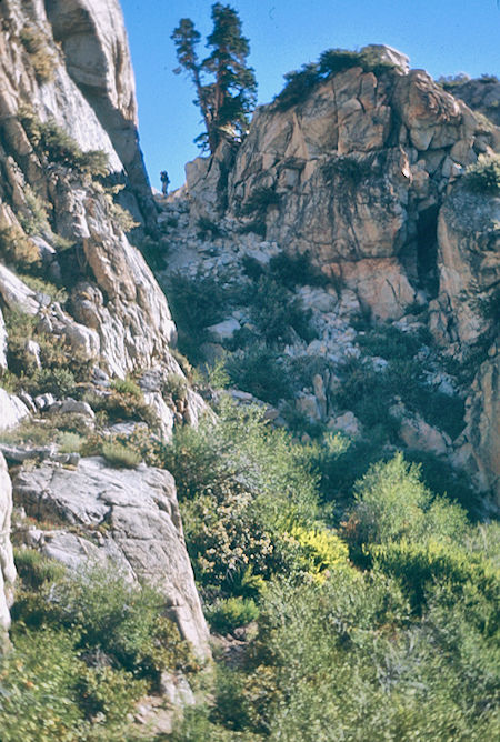 Kern-Kaweah 'pass' - Sequoia National Park 01 Sep 1971